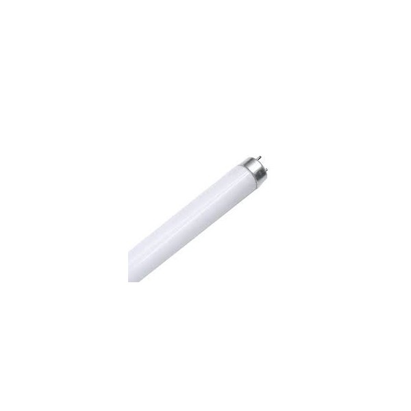 Tube fluorescent Bot Lighting L582T T8 58 W 840 K (4000 K) L.150cm